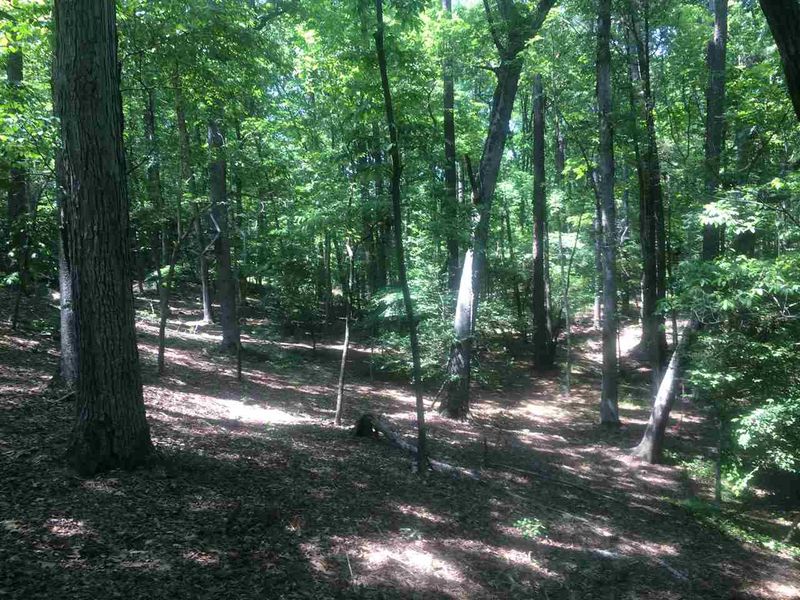 563 Double N Rd Lot 2, Pittsboro, NC 27312