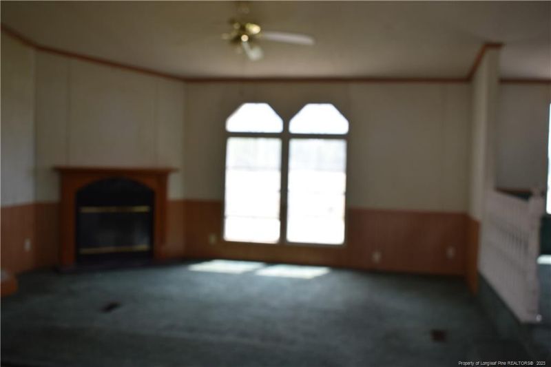 565 Charlie Smith Ln, Angier, NC 27501