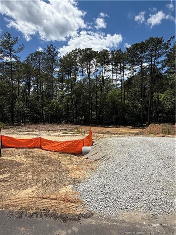 566 Blossom Trl, Lillington, NC 27546