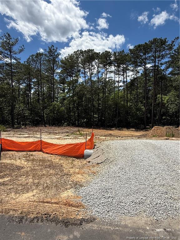 566 Blossom Trl, Lillington, NC 27546