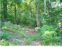 56706 Nash  Lot 890, Chapel Hill, NC 27517