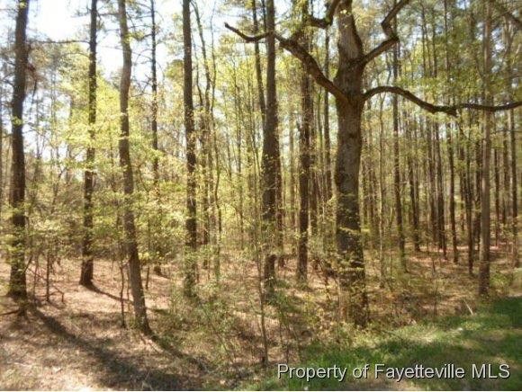 57 Buckroe Dr, Sanford, NC 27330