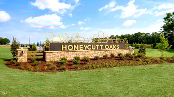 57 Stone Apiary Dr, Angier, NC 27501