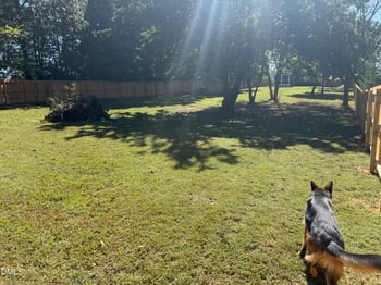 573 Arnold Rd, Louisburg, NC 27549