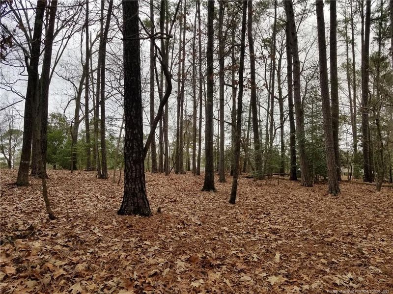 575 Broadmoor Ct, Sanford, NC 27332