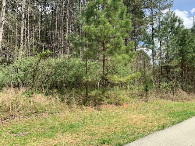 577 Berry Patch Ln Lot 753, Pittsboro, NC 27312