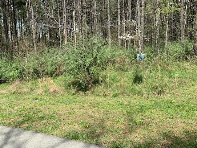577 Berry Patch Ln Lot 753, Pittsboro, NC 27312