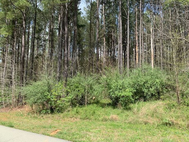 577 Berry Patch Ln Lot 753, Pittsboro, NC 27312