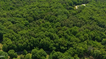 578 Nicks Bend, Pittsboro, NC 27312