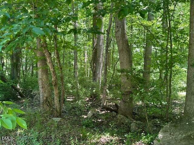 578 Nicks Bend, Pittsboro, NC 27312