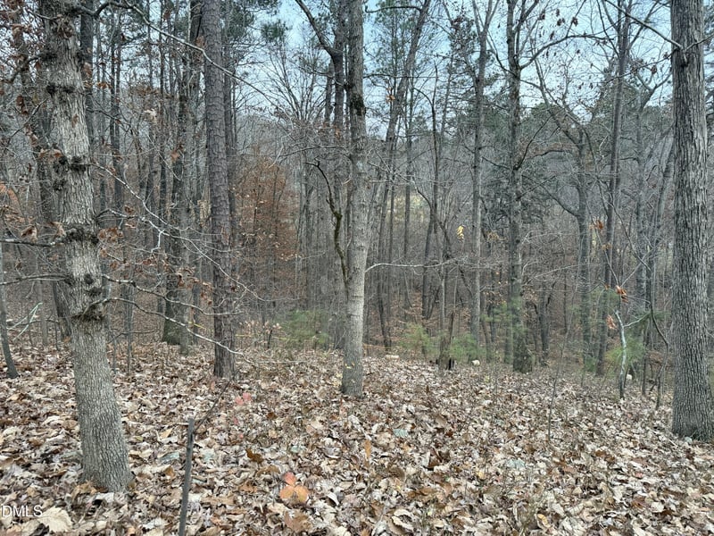 57803 Owen Lot 875, Chapel Hill, NC 27517