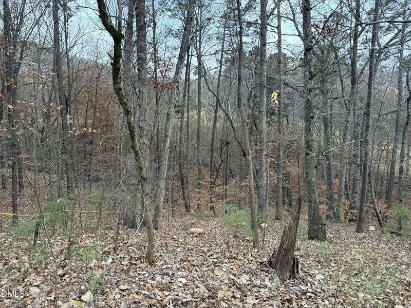 57803 Owen Lot 875, Chapel Hill, NC 27517