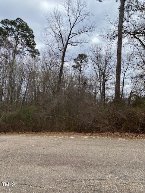 58 Brookview Ct Lot 6, Angier, NC 27501