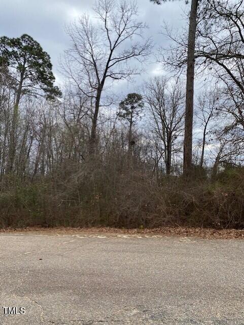 58 Brookview Ct Lot 6, Angier, NC 27501