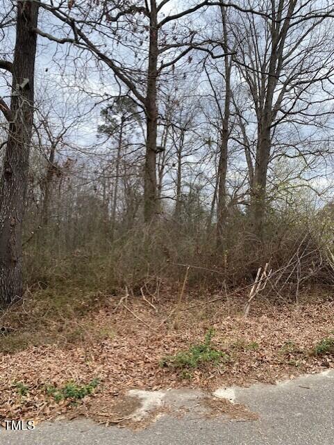 58 Brookview Ct Lot 6, Angier, NC 27501