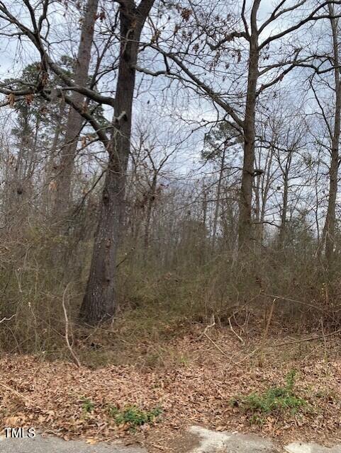 58 Brookview Ct Lot 6, Angier, NC 27501