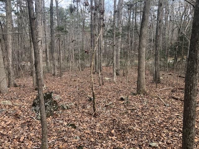58 Mint Springs Rd Lot 20, Pittsboro, NC 27312