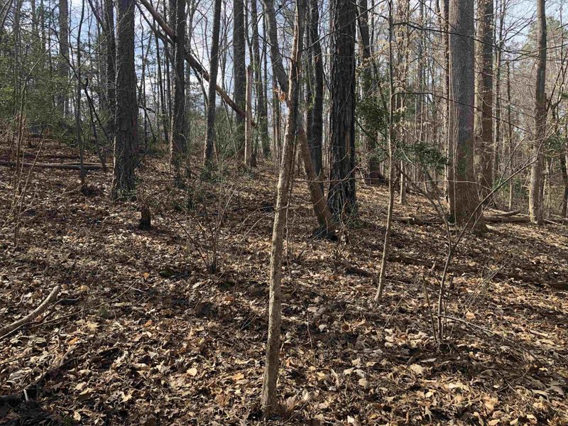 58 Mint Springs Rd Lot 20, Pittsboro, NC 27312