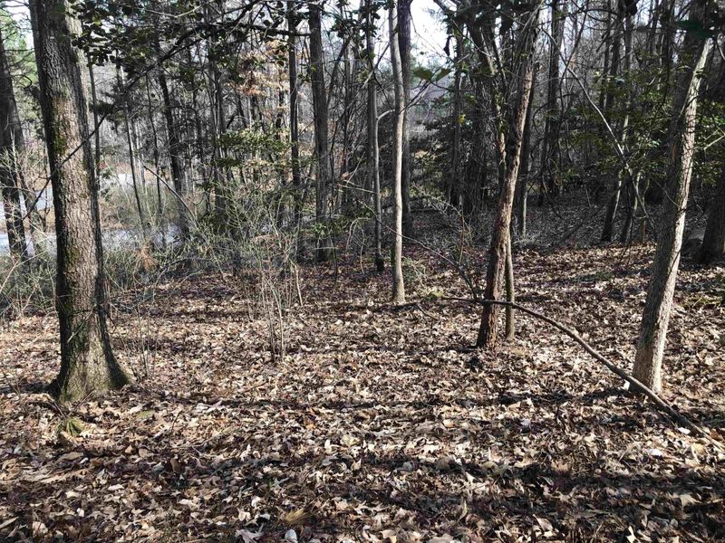 58 Mint Springs Rd Lot 20, Pittsboro, NC 27312