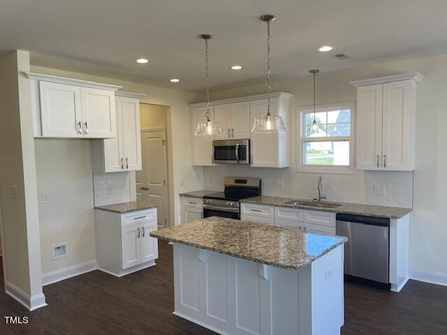 58 Rocking Canal Pl, Erwin, NC 28339