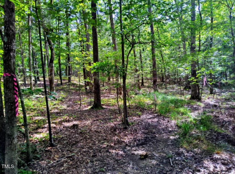 5805 Prioress Dr Lot 186816, Durham, NC 27712