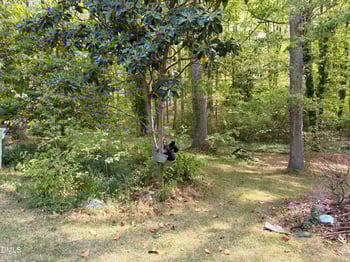 583 Steele St, Asheboro, NC 27205