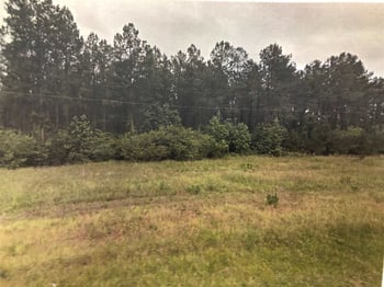 5896 Cleveland Rd, Clayton, NC 27520