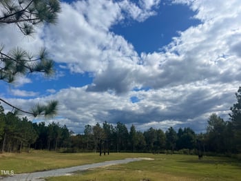 59 Pine Vista Way, Sanford, NC 27332