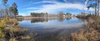 59 Sea Palm Ct, Lillington, NC 27546