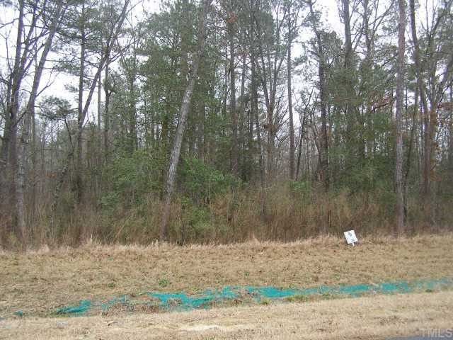59 Silverside Dr Lot 35, Angier, NC 27501