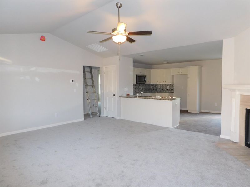 59 Tractor Pl, Willow Springs, NC 27592