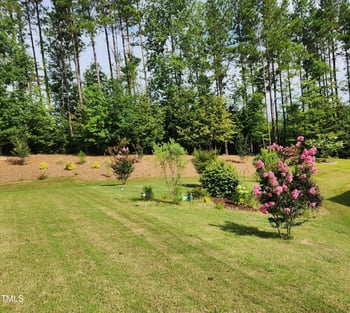 59 Winfield Manor Ct, Clayton, NC 27527