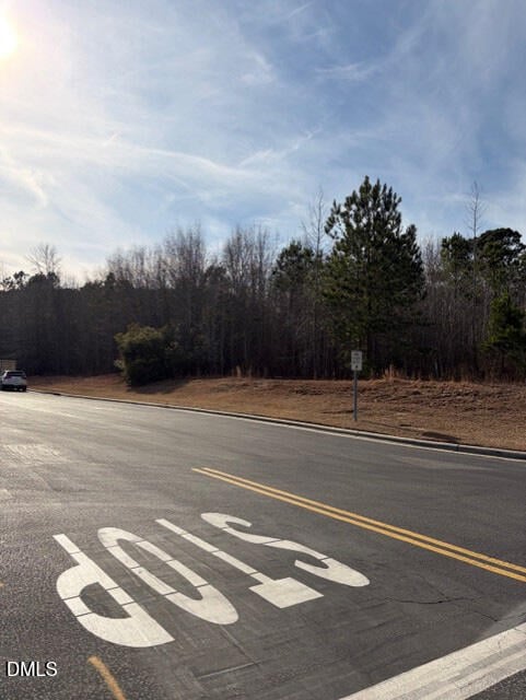 590 Jackson Blvd, Erwin, NC 28339