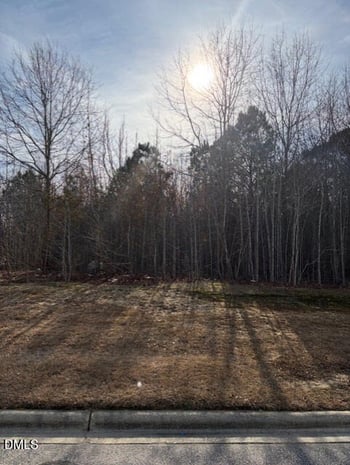 590 Jackson Blvd, Erwin, NC 28339