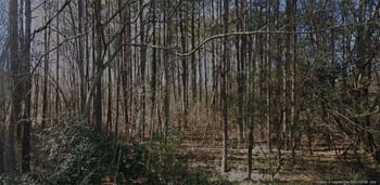 5908 Colonial Dr, Raleigh, NC 27603