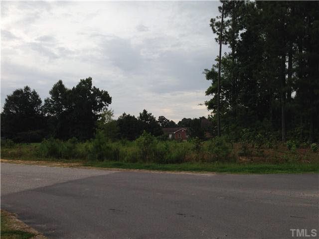 5908 Shady View Dr Lot 14, Wendell, NC 27591
