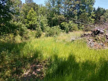5909 Forget Me Not Rd, Apex, NC 27523