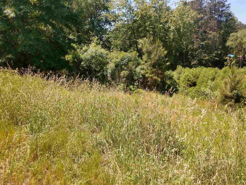 5909 Forget Me Not Rd, Apex, NC 27523