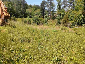 5909 Forget Me Not Rd, Apex, NC 27523