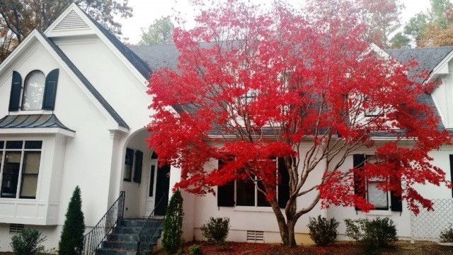 5917 Rock Canyon Rd, Raleigh, NC 27613