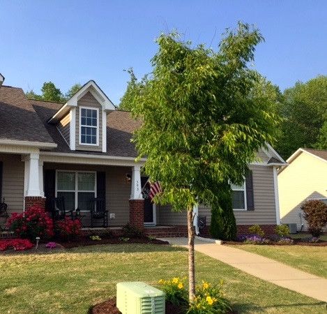 593 Winding Wood Dr, Clayton, NC 27520