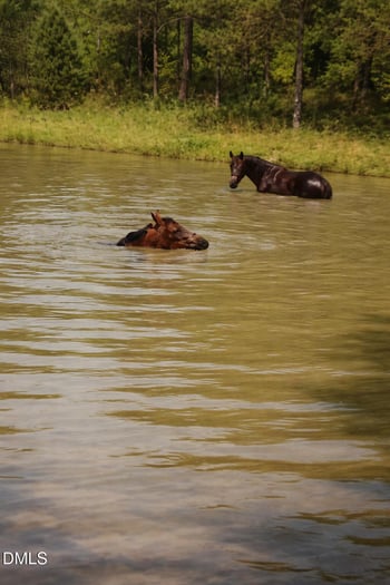 5950 Union Ridge Rd, Burlington, NC 27217