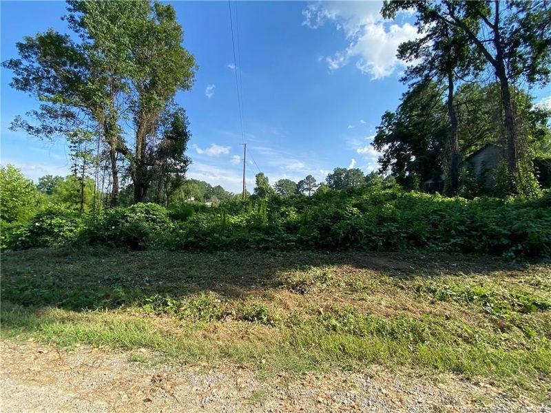 596 Sharpe Rd, Sanford, NC 27332