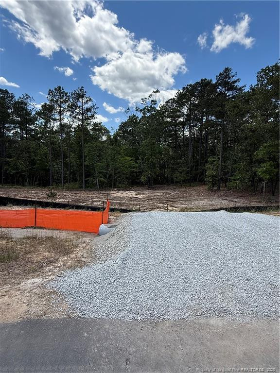 598 Blossom Trl, Lillington, NC 27546