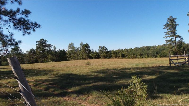 598 Dryfork Rd, Sanford, NC 27330