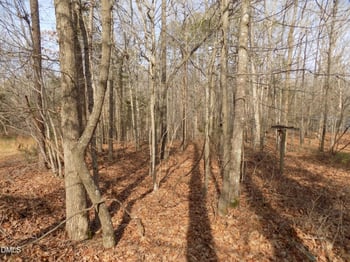 598 Moores Pond Rd, Youngsville, NC 27596