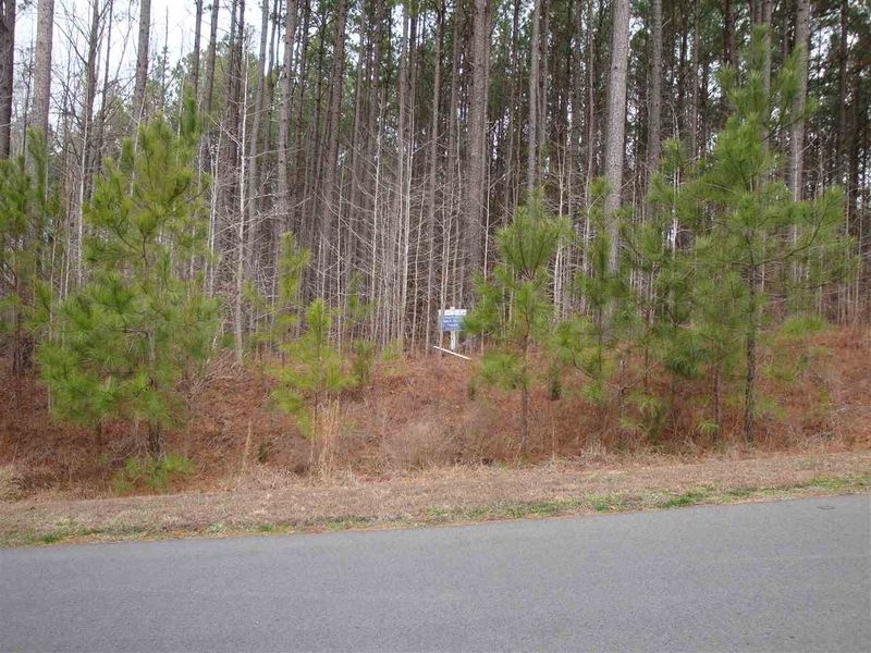 599 Berry Patch Ln Lot 754, Pittsboro, NC 27315
