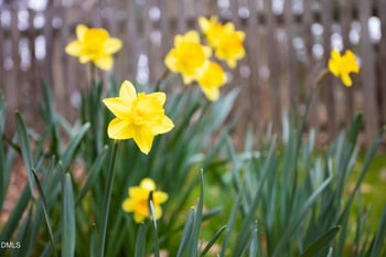 6 Ozark Ct, Durham, NC 27713