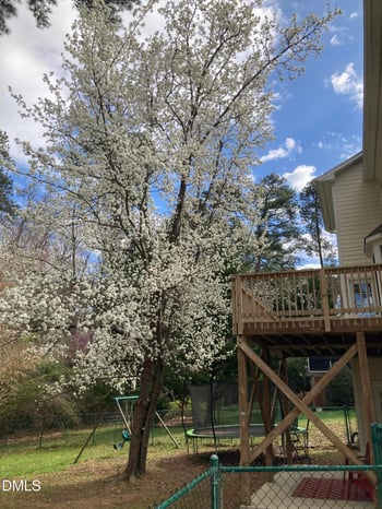 6 Saint Andrews Ct, Durham, NC 27707