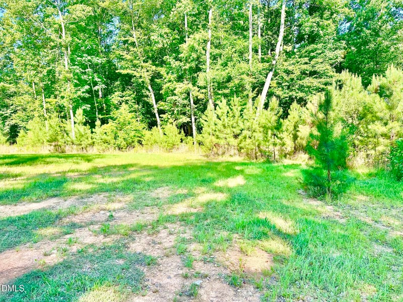 6.29 Ac June Dr, Hillsborough, NC 27278